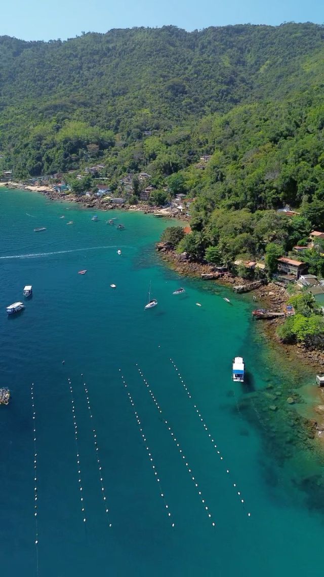 Viva a essência do verão em Ilha Grande onde a imensidão da natureza sussurra segredos de serenidade e cada brisa traz consigo a promessa de dias incríveis.
Descubra a exuberância da Ilha e conecte-se com a sua plenitude.
Reservas:
Atenção em português
+55 24 99927-3973
Atención en español & ingles
+55 24 99988-4077
ILHA GRANDE IN NATURA:
🐒 Pousada Lagamar
👨‍👩‍👧‍👧Pousada Dolce Vita
🐠Pousada Cruzoe
🏝Cantinho Da Ilha.
🚤Natura tours
🤿Natura Dive
🍕 Pizzaria da Vermelha
🎬@ilhagrandelive
# ilha grande no es
#ilhagranderj #riodejaneiro
#praiavermelhailhagrande
#ilhagrandeinnatura
#beachlife #ilha #ilhagrande_bra
#playasparadisíacas
#playasolyarena
#beaching #islandlife
#caribebrasilero
#natureza #travelphotographyl
#araçatiba #ataçatibinha #brazil #bresil
H